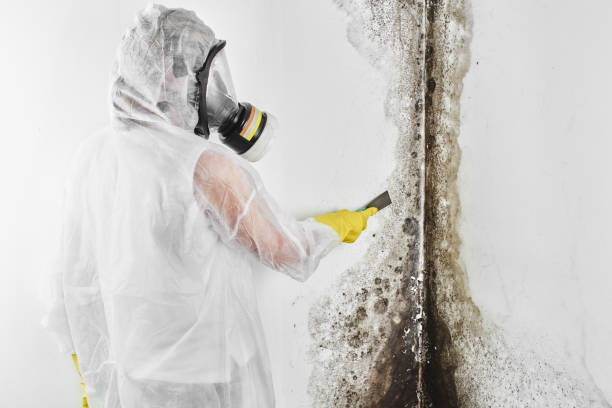 Best HVAC Mold Remediation in Sherwood Manor, CT